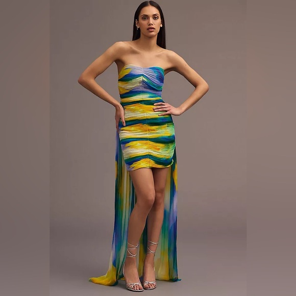 Anthropologie Dresses & Skirts - Vineet Bahl Blurred Sheer Mini Train Dress